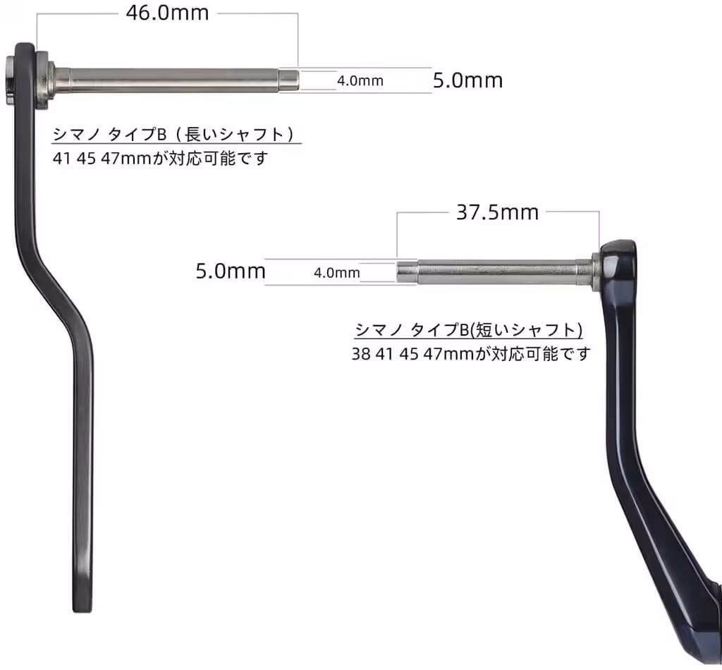 ゴメクサス　ノブ　TypeB