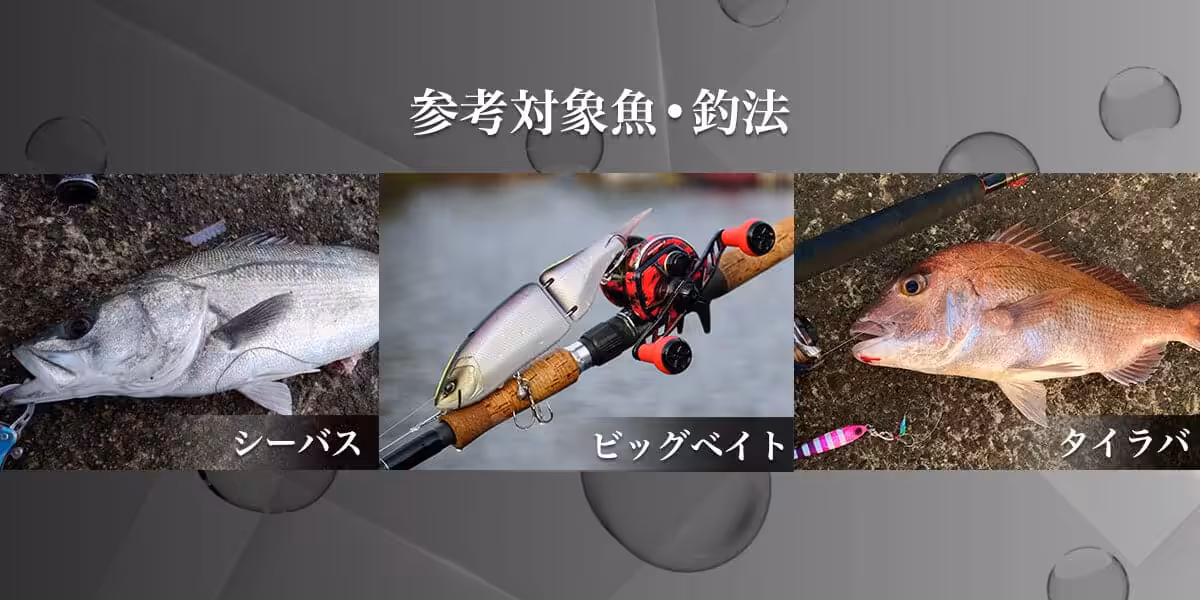 ゴメクサス ダブルハンドル　ベイト 対象魚種　釣り法　タイラバ