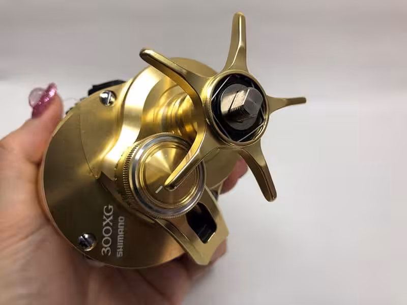 ゴメクサス　22オシアコンクエスト