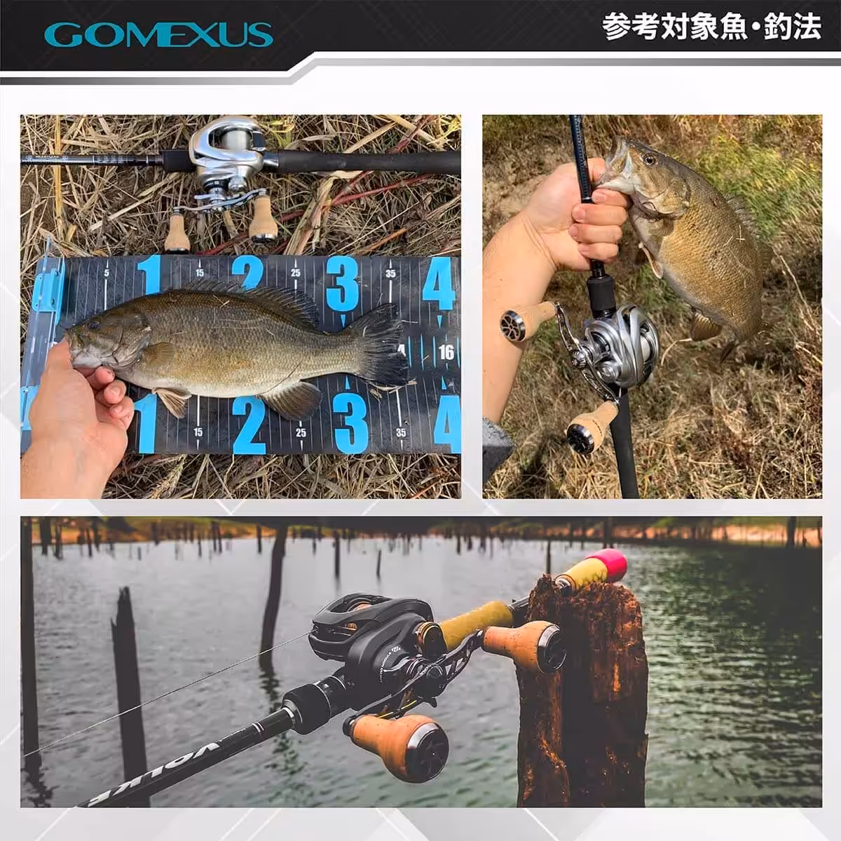 釣り道具と魚の写真