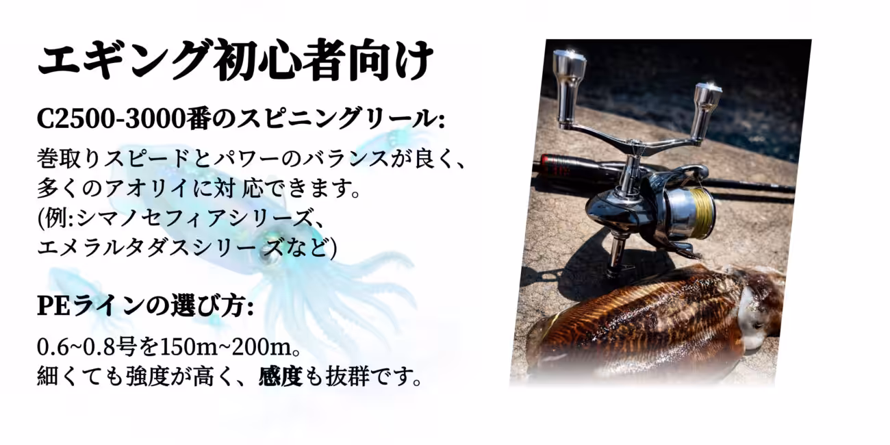 日本鱿鱼钓活动特辑图片 04
